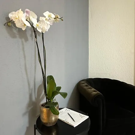 Lindo En El Centro De Lägenhet *