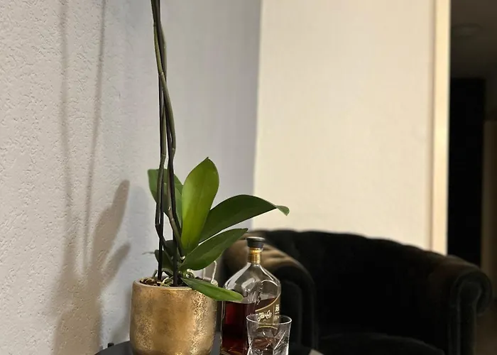 Lindo En El Centro De * Lausanne