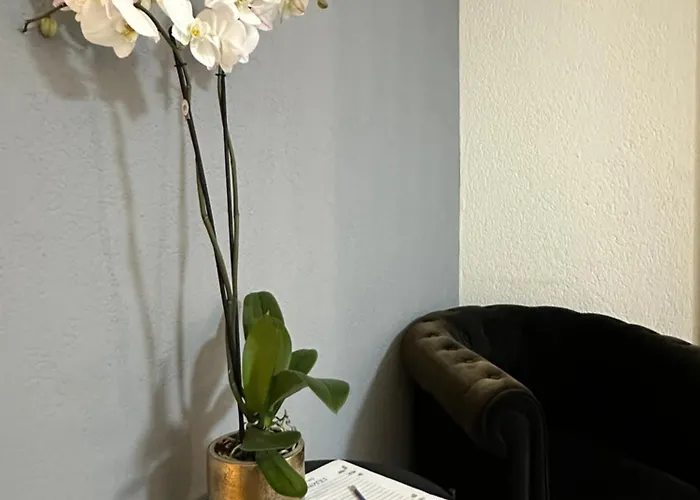 Lindo En El Centro De Lägenhet *